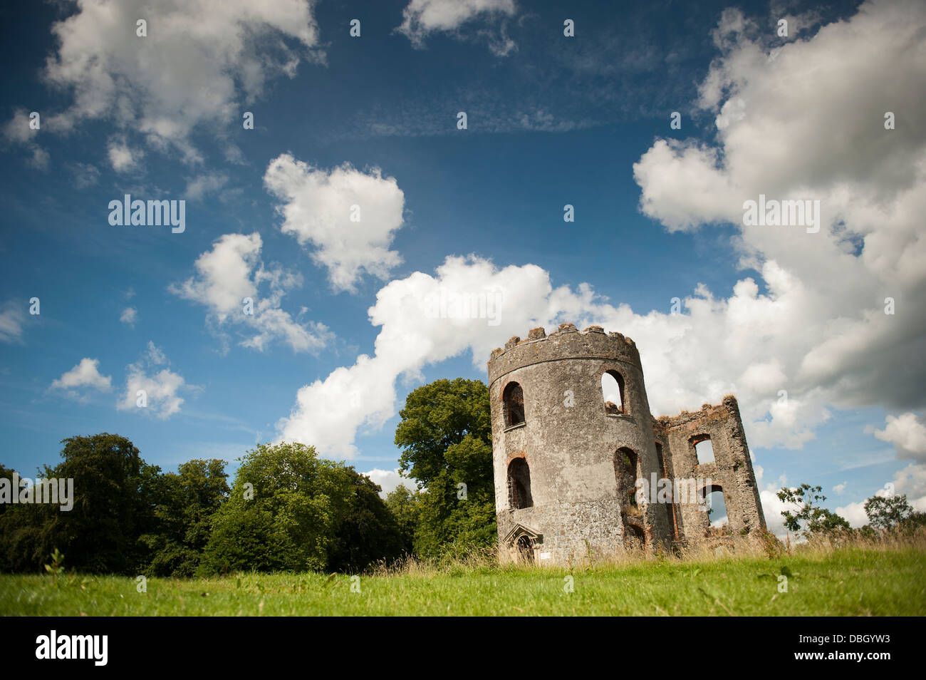 La torre in rovina del castello di Shanes sulle rive del Lough Neagh, Antrim, Irlanda del Nord. Foto Stock