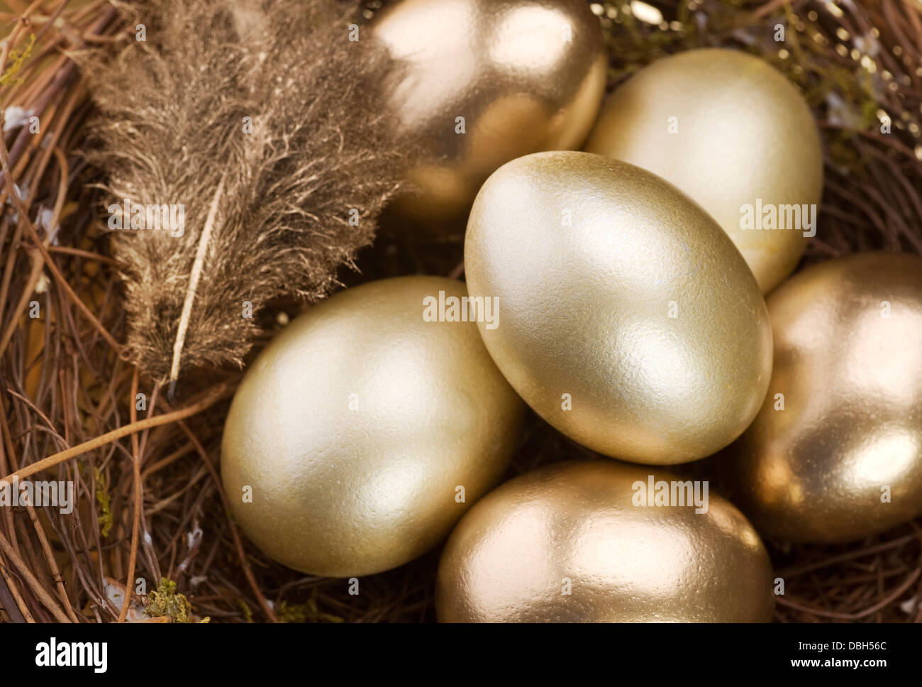 Golden Nest uova Foto Stock