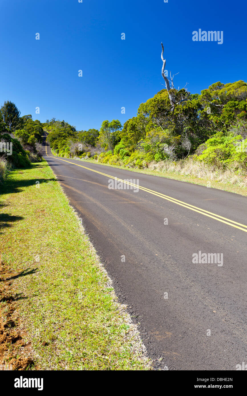 Strada in Kokee State Park in Kauai, Hawaii. Foto Stock