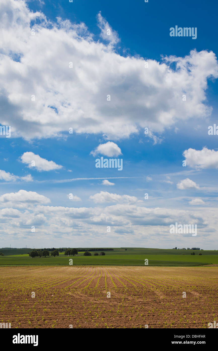 Francia Piccardia, dai campi di battaglia della Somme, Beaumont-Hamel, vista sulla campagna. Foto Stock