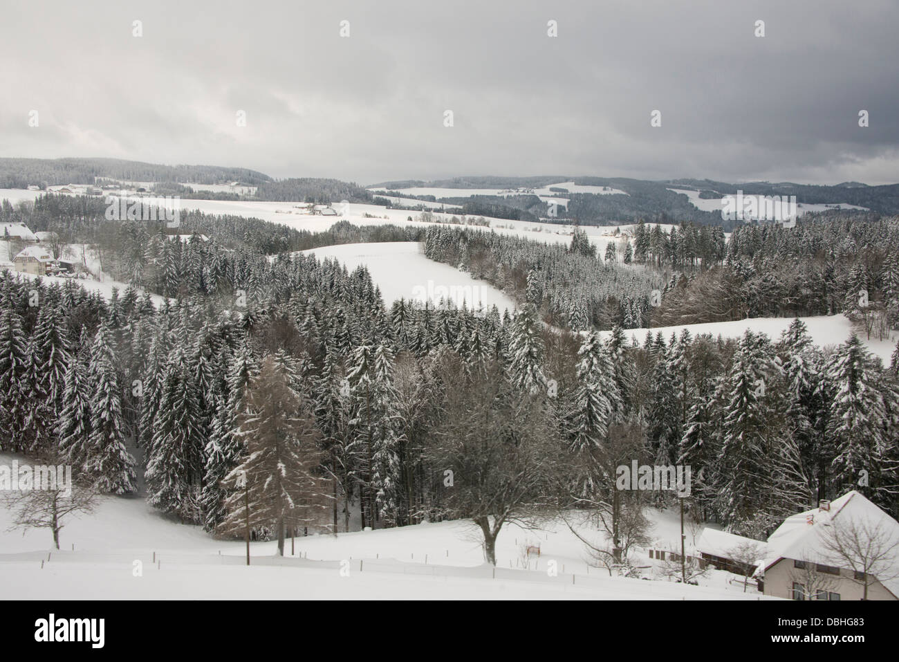Germania, Foresta Nera, Hollsteig. "Hell's Valley " campagna della Foresta Nera in inverno. Foto Stock