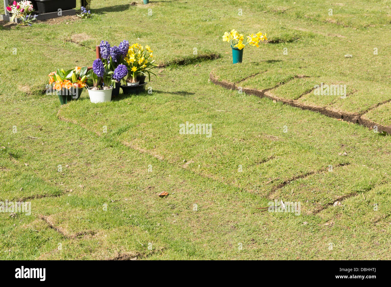 Recentemente riempito tombe in un cimitero di Longtown, Cumbria. Le tombe non identificati non sono ancora stati contrassegnati con un oggetto contrassegnato per la rimozione definitiva. Foto Stock