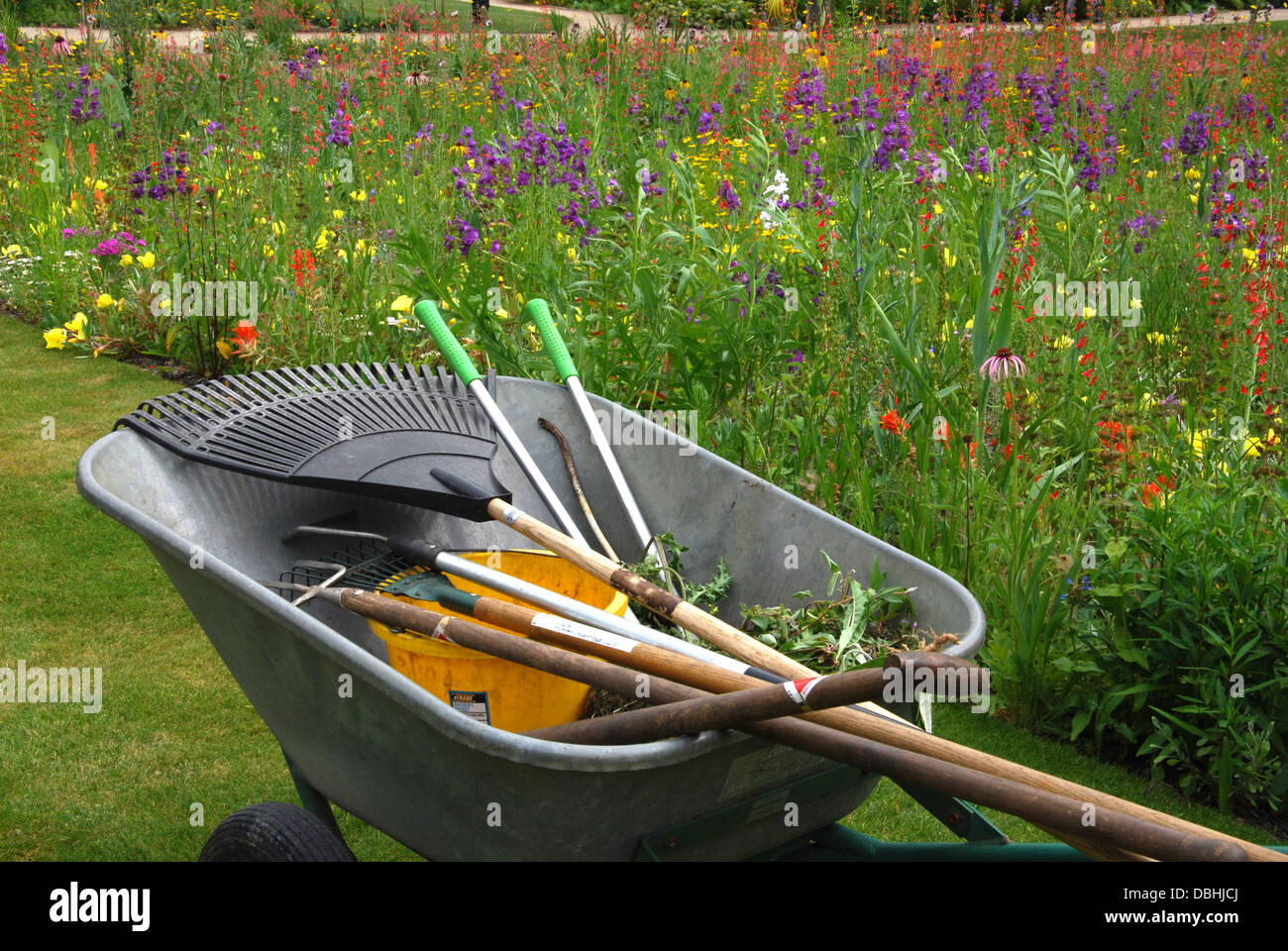 Carriola con utensili da giardinaggio in giardino Foto Stock