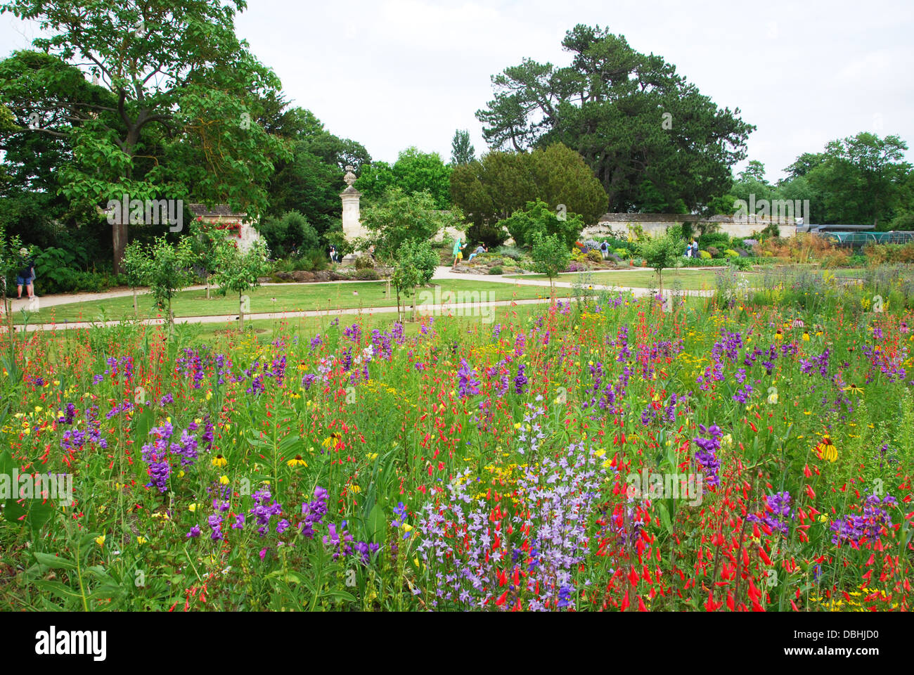 La University of Oxford Botanic Garden vicino al Magdalen College di Oxford Regno Unito Foto Stock