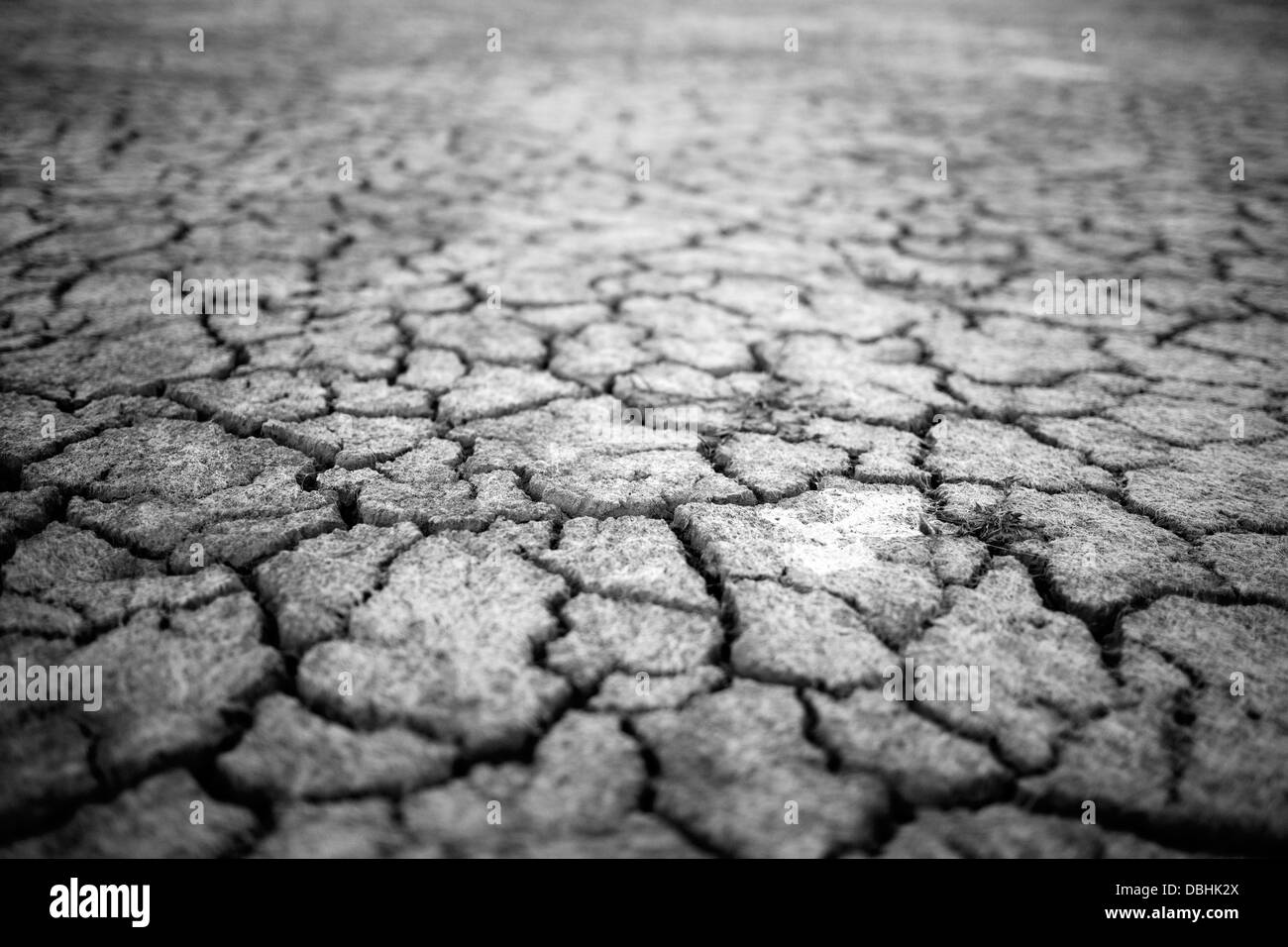 La massa della siccità di morte il lago Koronia nella Grecia settentrionale. (B&W versione) Foto Stock