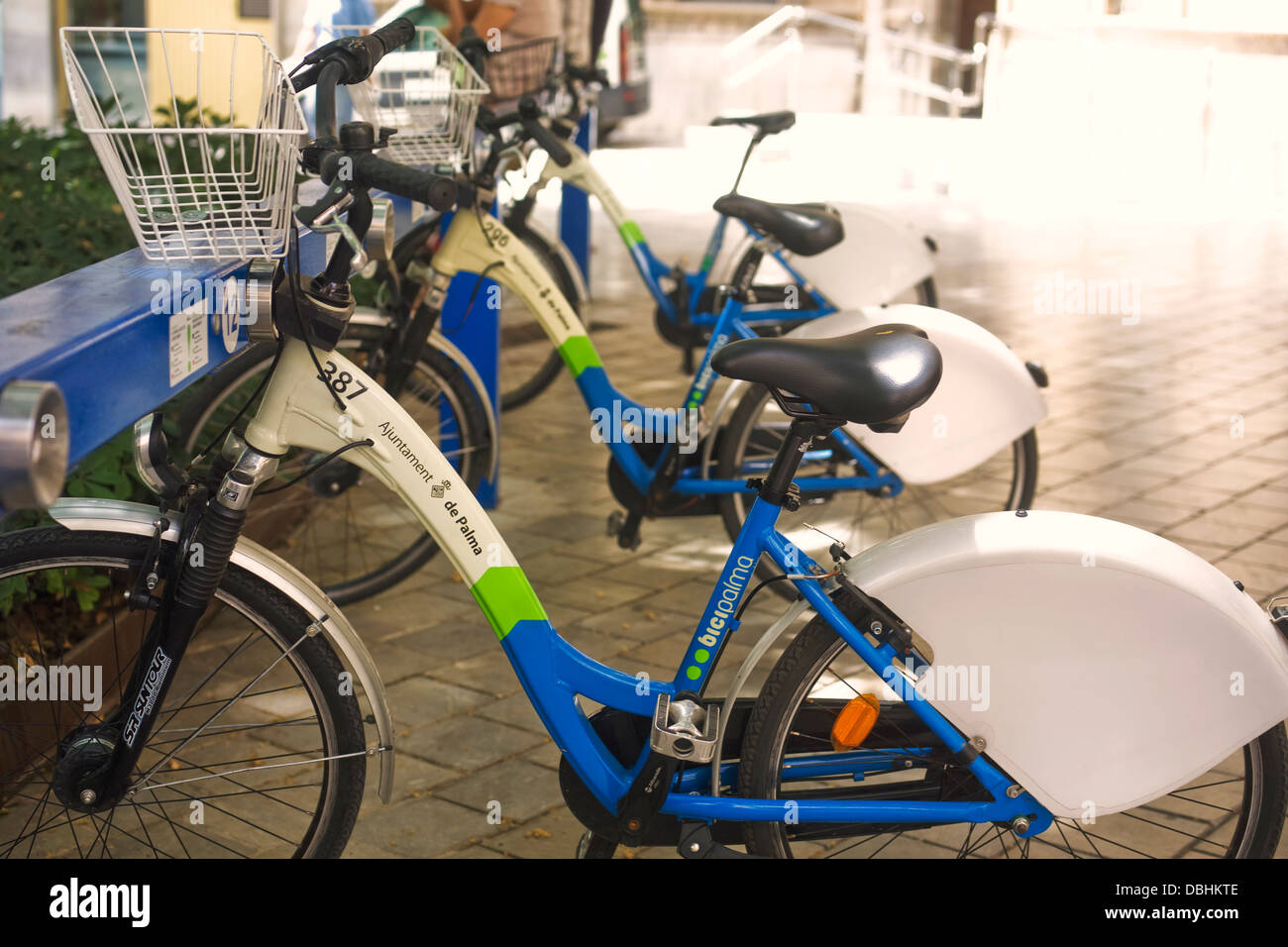 Bicipalma biciclette. Foto Stock