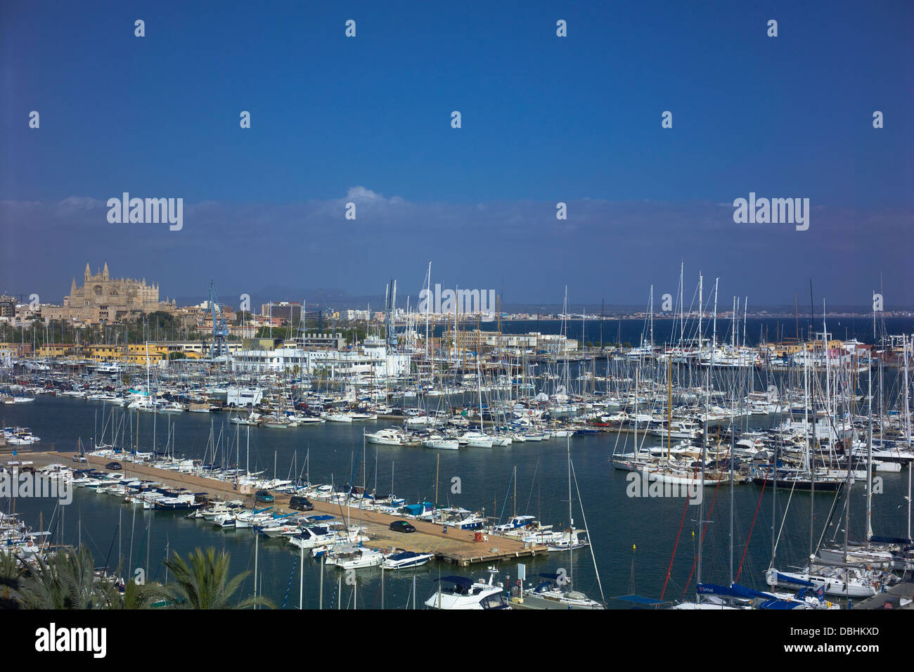 Marina Ormeggi, Palma de Mallorca Foto Stock
