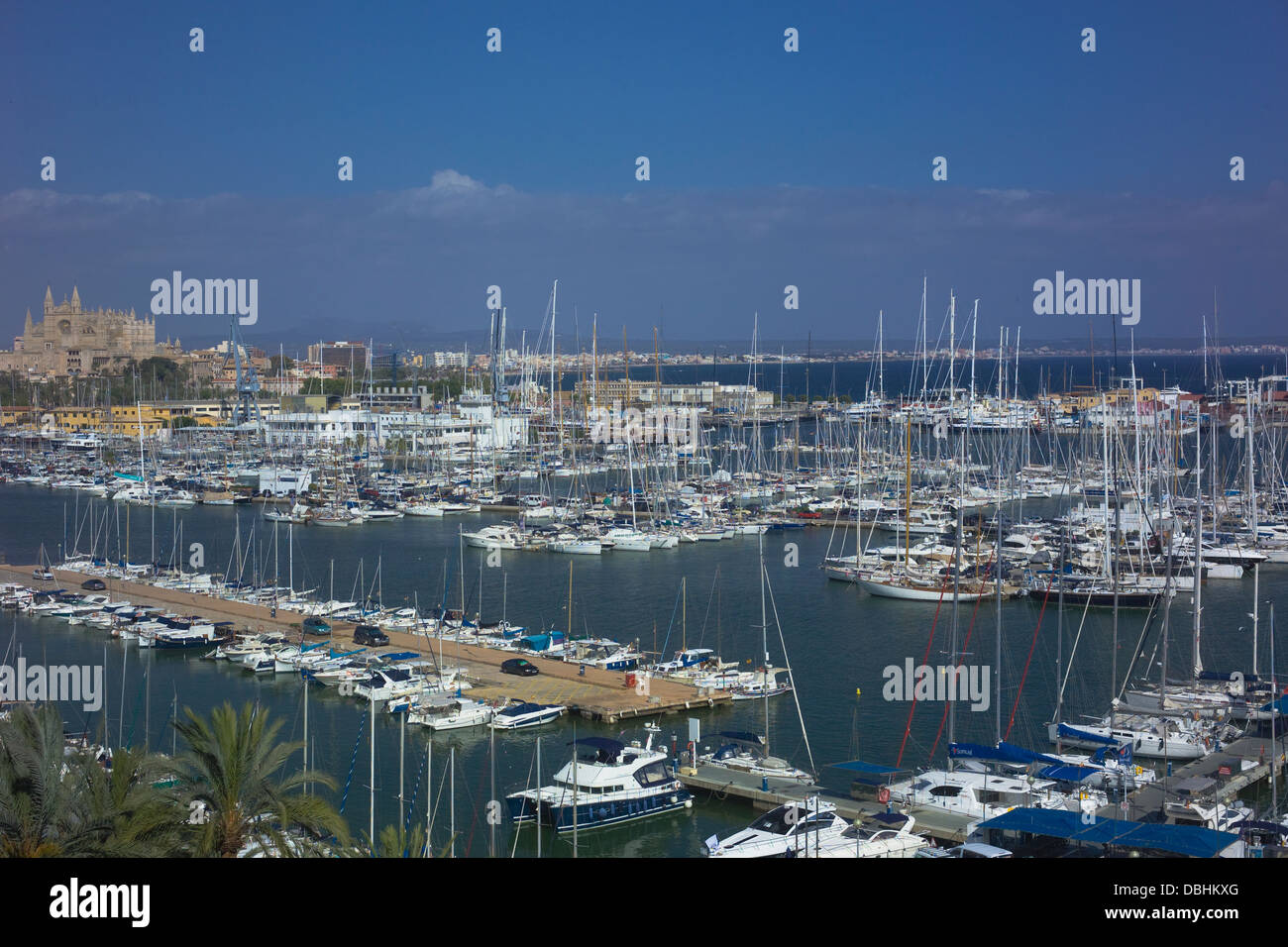 Marina Ormeggi, Palma de Mallorca Foto Stock