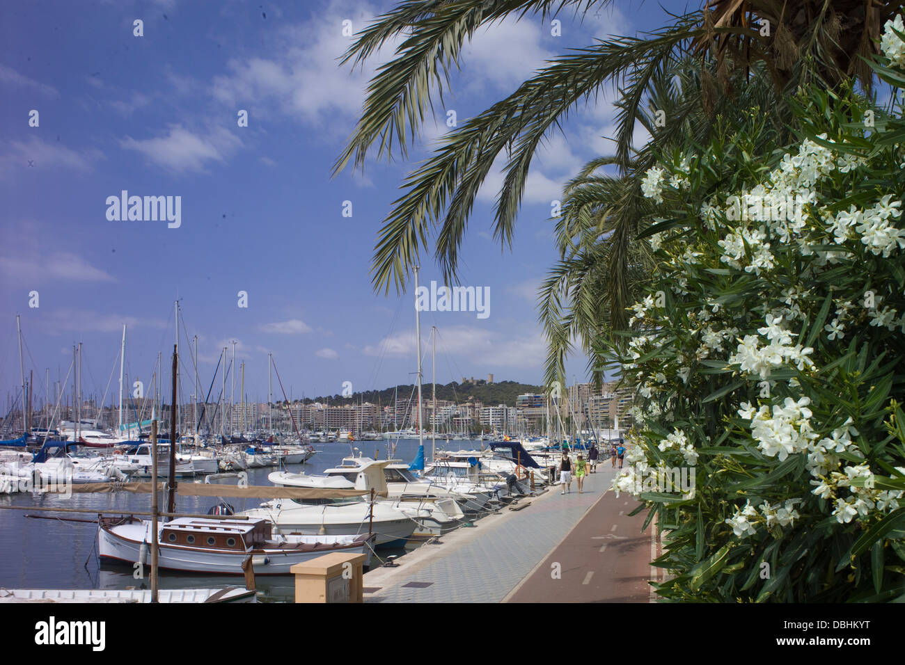 Il Waterside percorso per passeggiate a piedi e in bicicletta, a fianco le barche nel porto di Palma de Mallorca Foto Stock