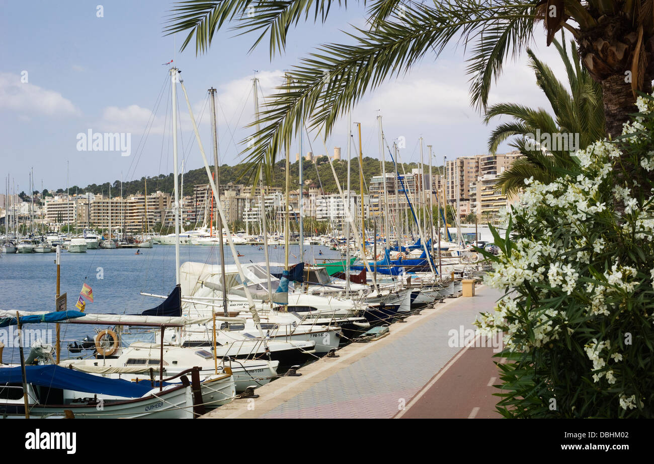Il Waterside percorso per passeggiate a piedi e in bicicletta, a fianco le barche nel porto di Palma de Mallorca Foto Stock