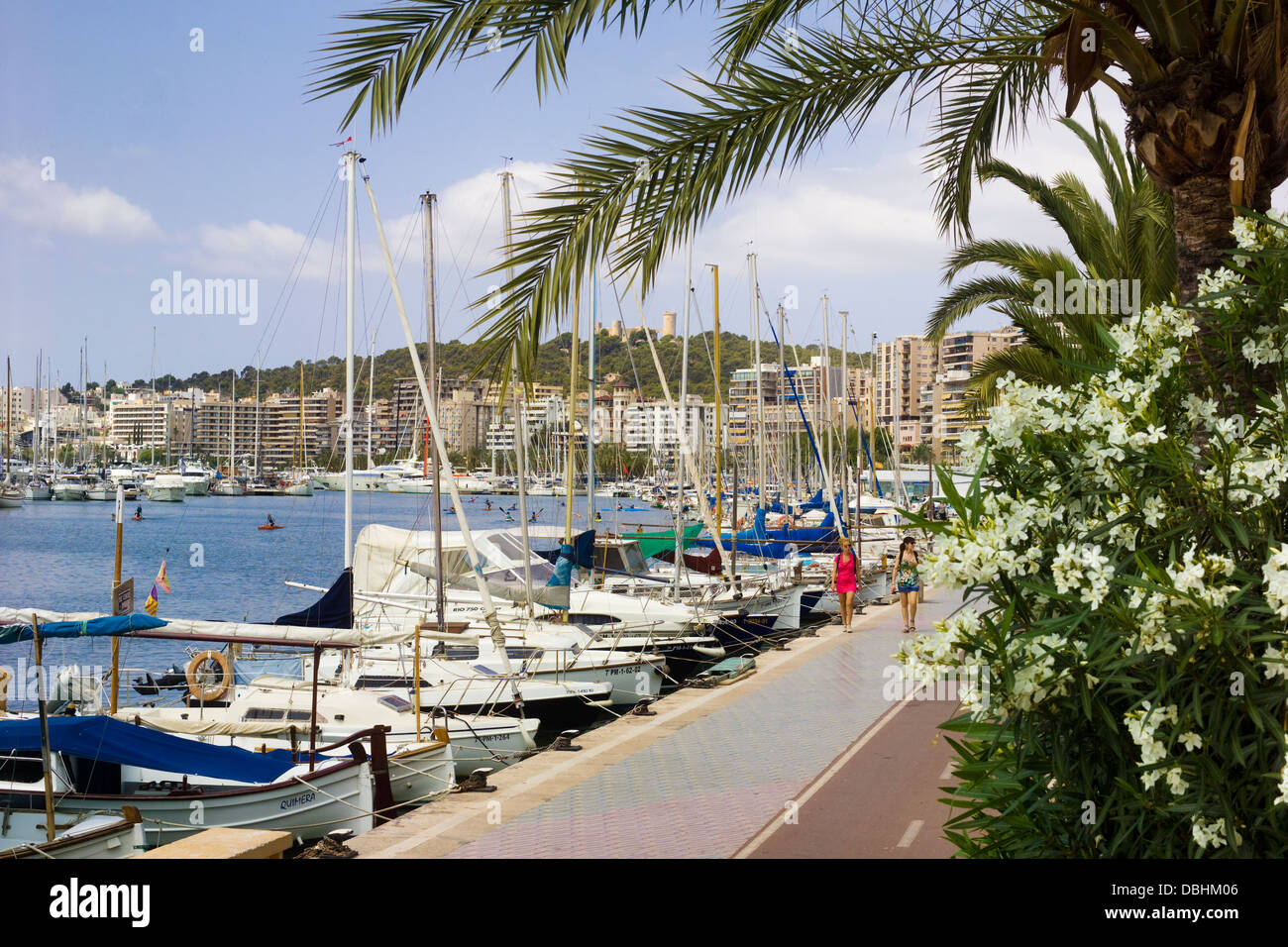 Il Waterside percorso per passeggiate a piedi e in bicicletta, a fianco le barche nel porto di Palma de Mallorca Foto Stock