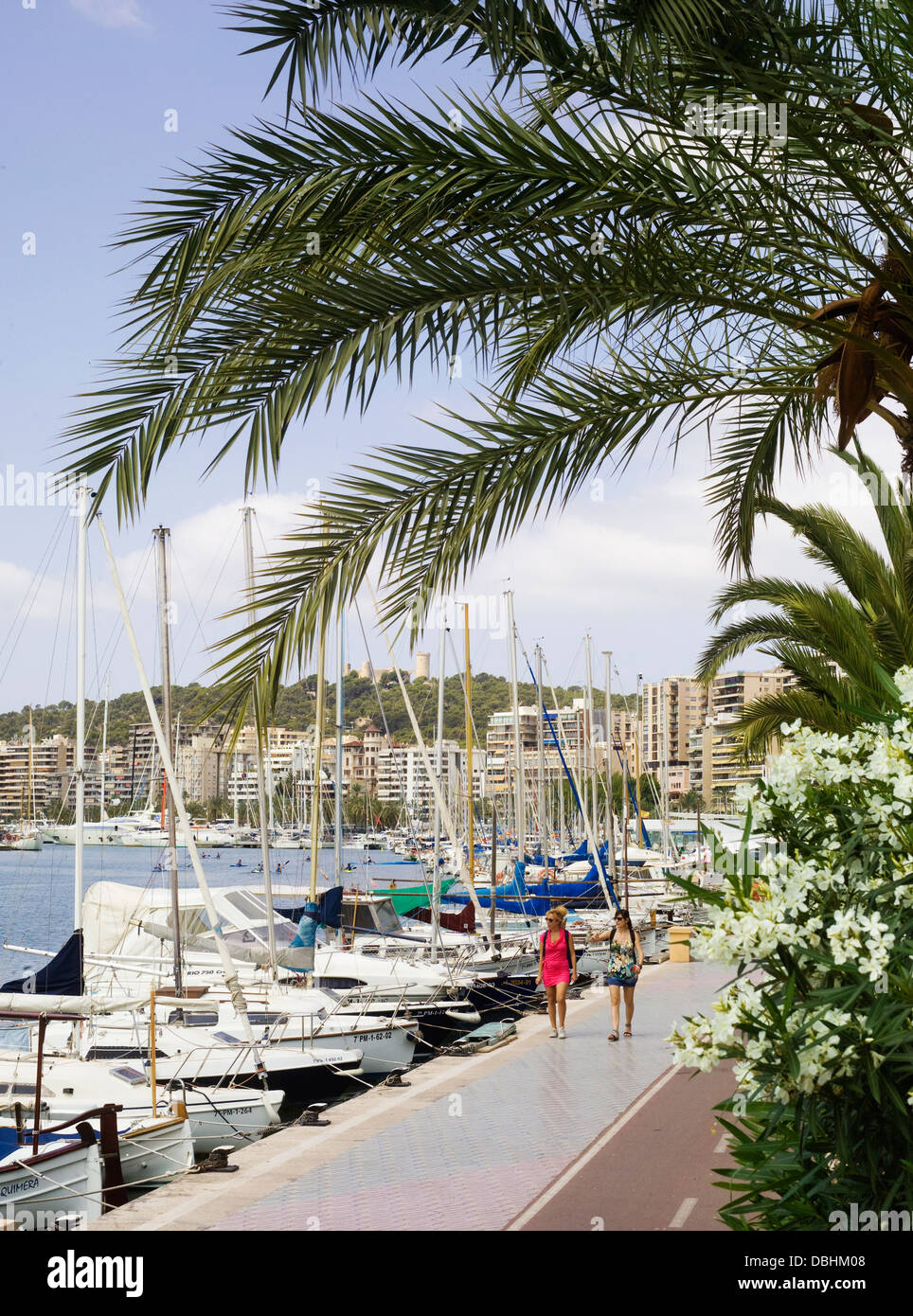 Il Waterside percorso per passeggiate a piedi e in bicicletta, a fianco le barche nel porto di Palma de Mallorca Foto Stock