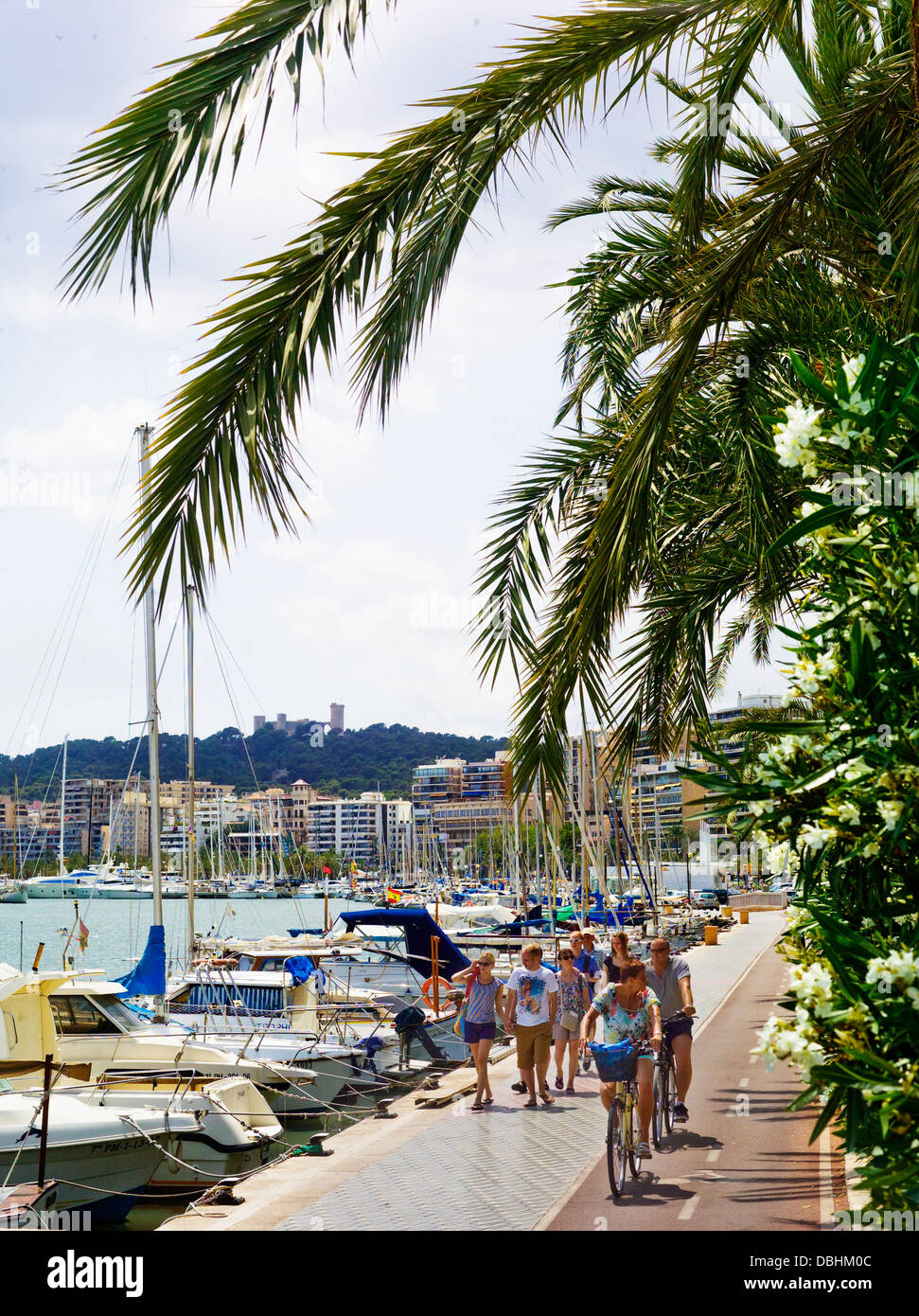 Il Waterside percorso per passeggiate a piedi e in bicicletta, a fianco le barche nel porto di Palma de Mallorca Foto Stock