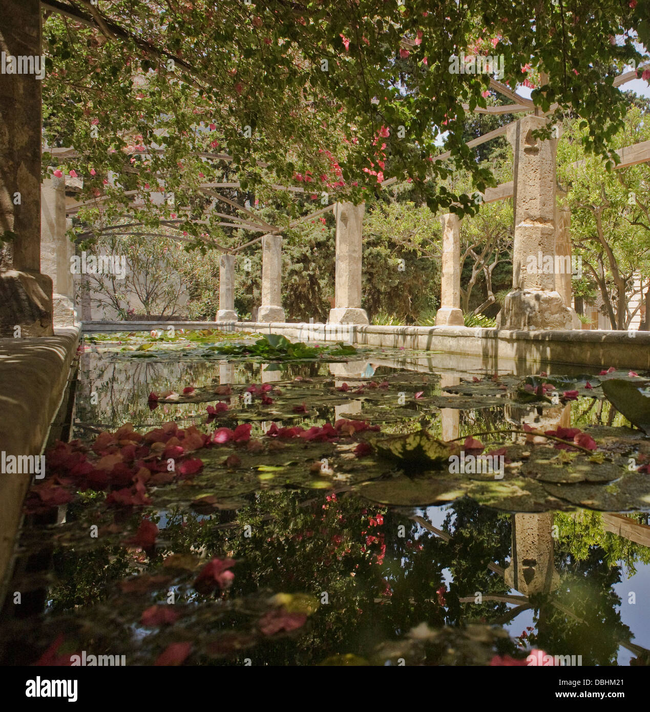 Piscina tranquilla in quella del Vescovo di giardini in Palma de Mallorca, Spagna Foto Stock