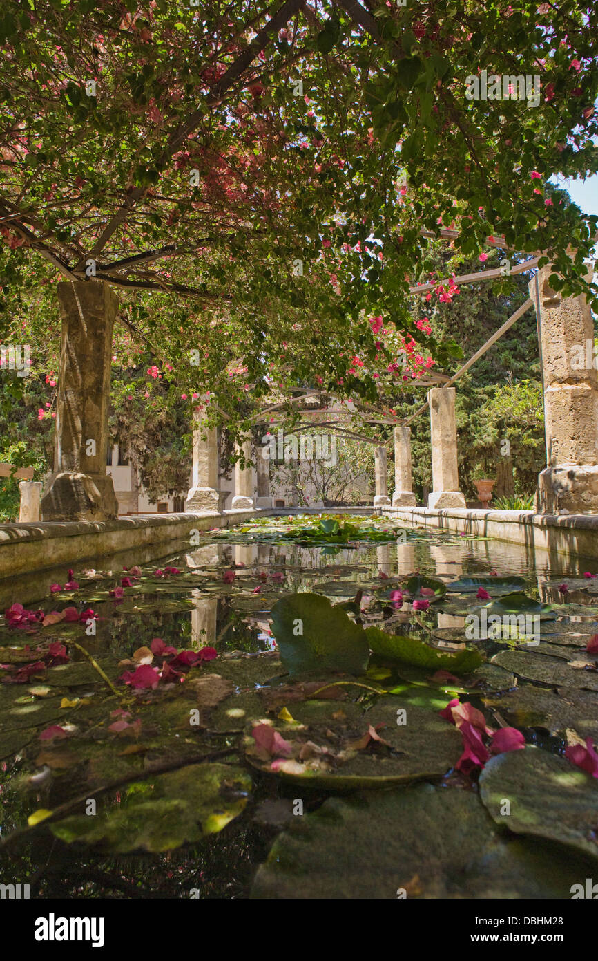 Piscina xTranquil nei giardini del Banos Árabes (Bagni Arabi) in Palma de Mallorca, Spagna Foto Stock