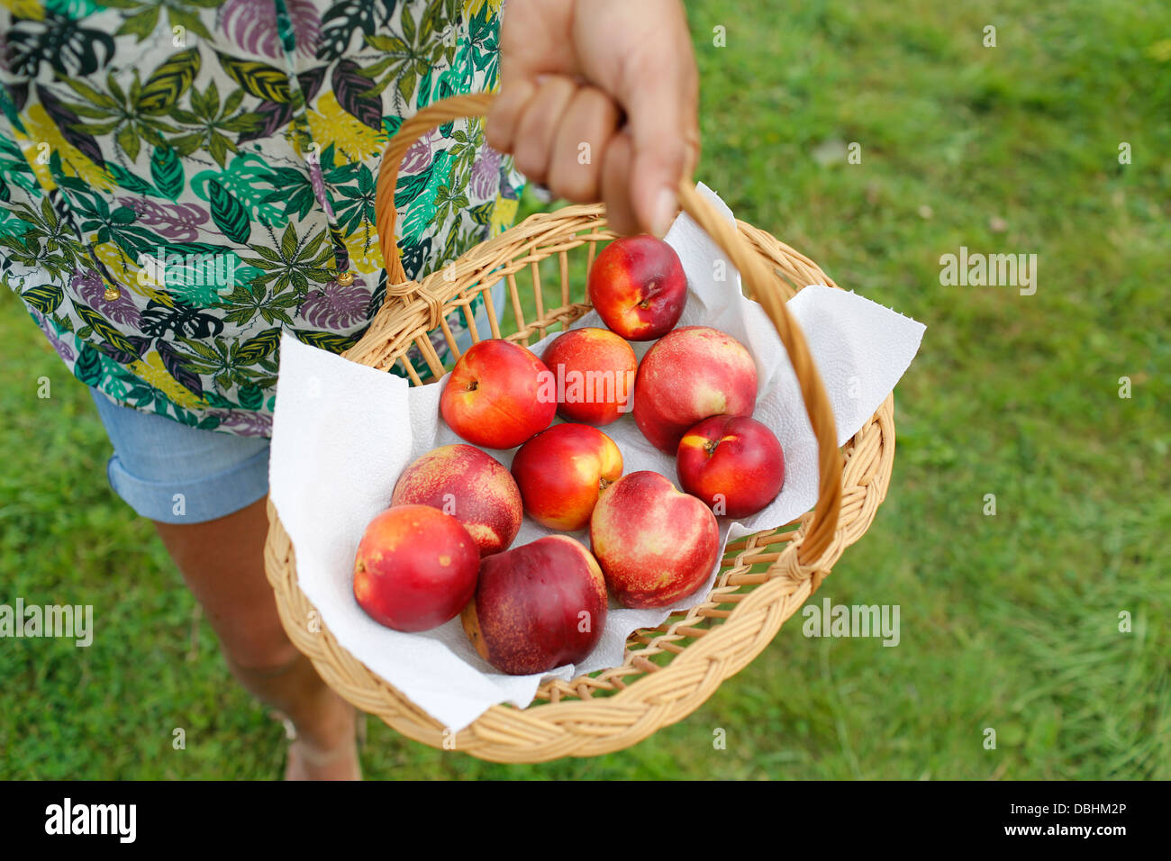 La donna che porta un cesto di frutta Foto Stock