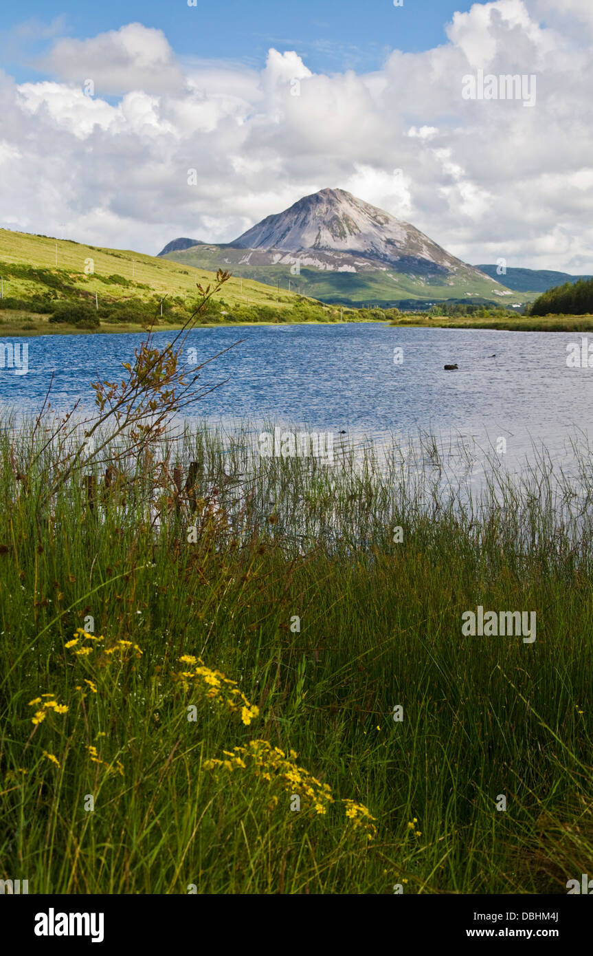 Mount Errigal County Donegal Irlanda Foto Stock