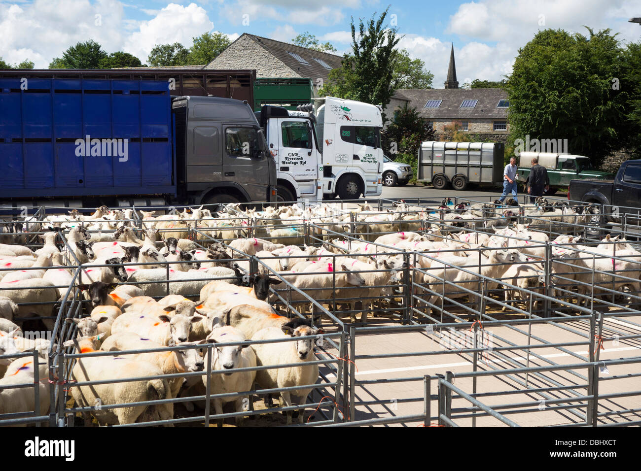 Bakewell mercato del bestiame, Bakewell, Derbyshire, England, Regno Unito Foto Stock