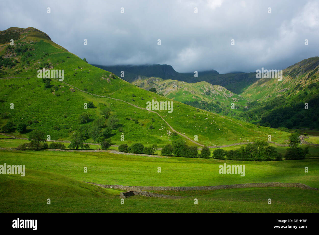 Alta Hartsop Dodd e Dovedale Valley, vicino Hartsop, Parco Nazionale del Distretto dei Laghi, Cumbria, England Regno Unito Foto Stock