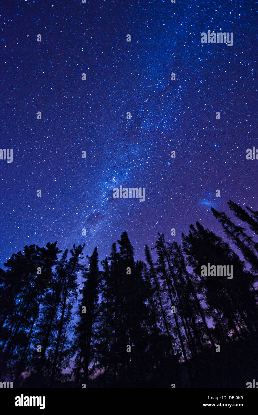 La Via Lattea si vede dalle montagne Cederberg in Sud Africa. Foto Stock