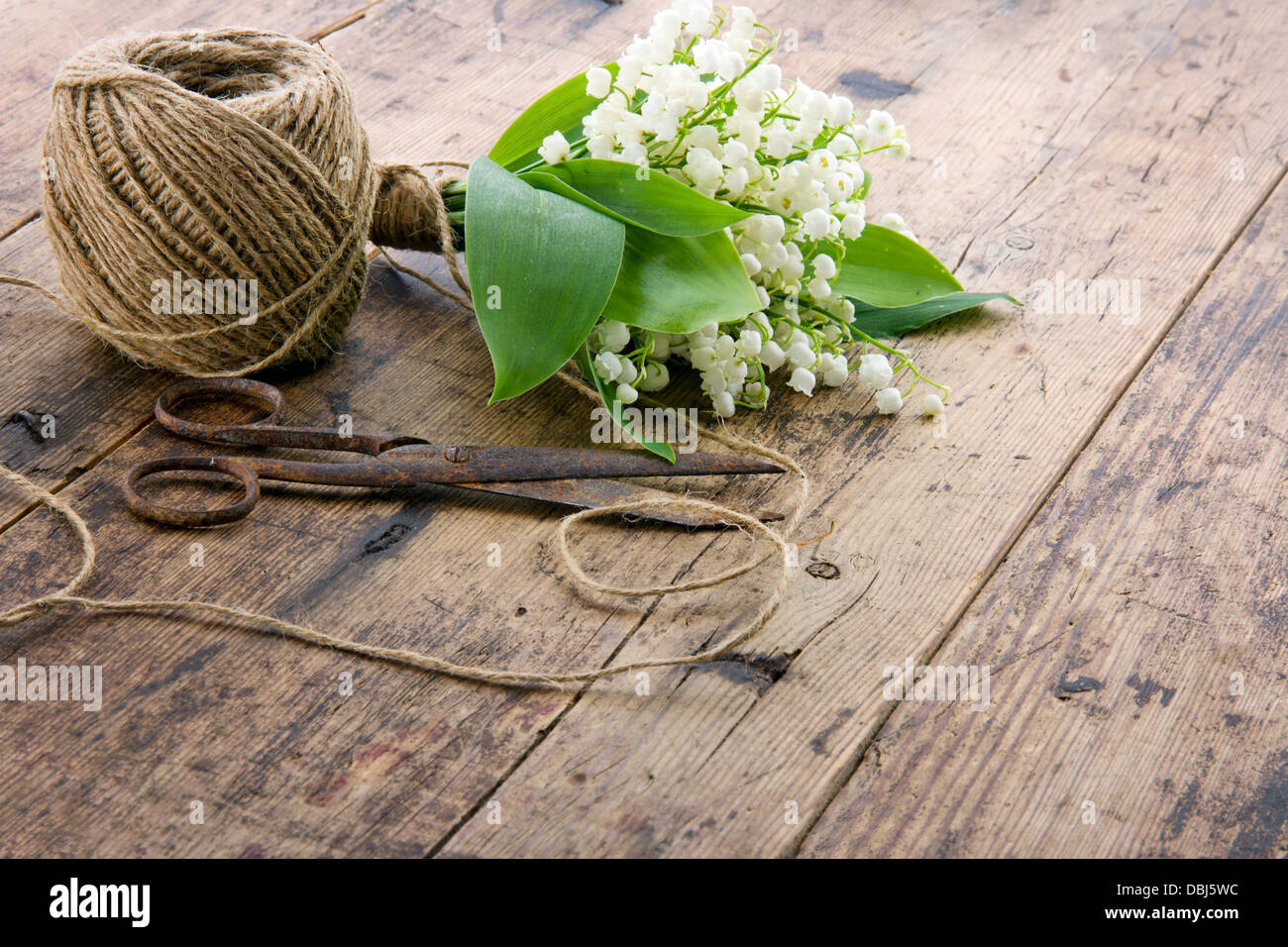 Bouquet di fiori di primavera lilys della valle con il vecchio arrugginito forbici di antiquariato e la sfera di spago marrone Foto Stock