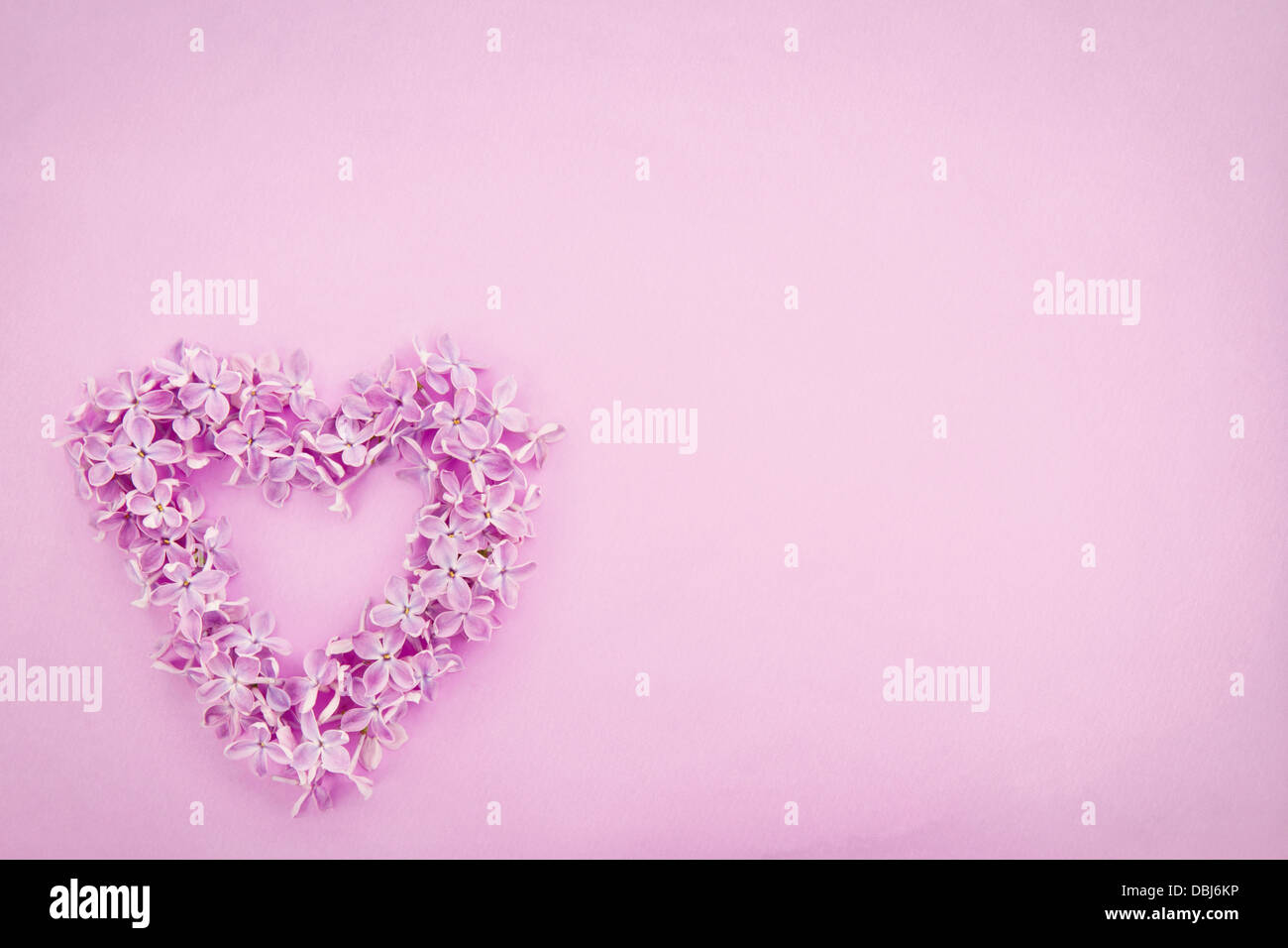 Viola fiore lilla cuore sulla texture di sfondo artistico Foto Stock