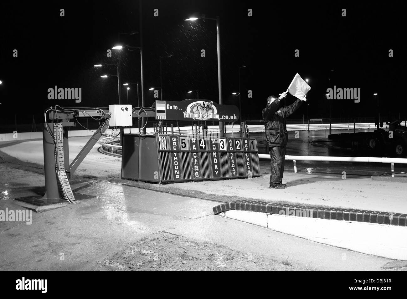 Il Greyhound Racing start line a Great Yarmouth cane via Foto Stock