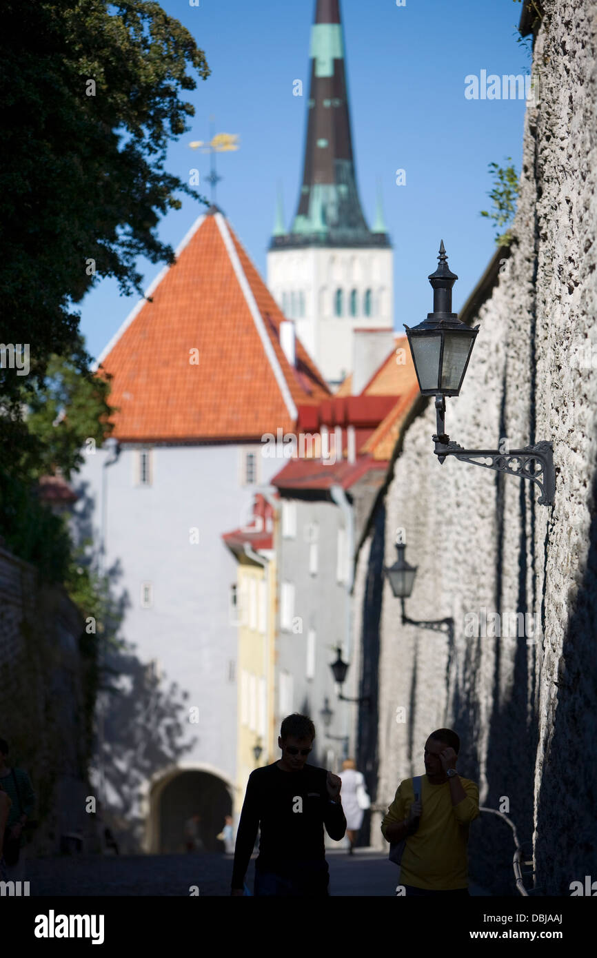 Città vecchia di Tallinn, Estonia Foto Stock