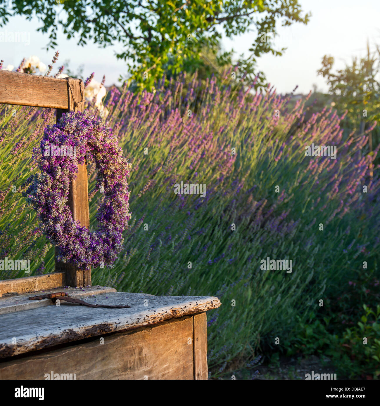 Lavanda ghirlanda di fiori su un di legno vecchio banco in un giardino estivo Foto Stock