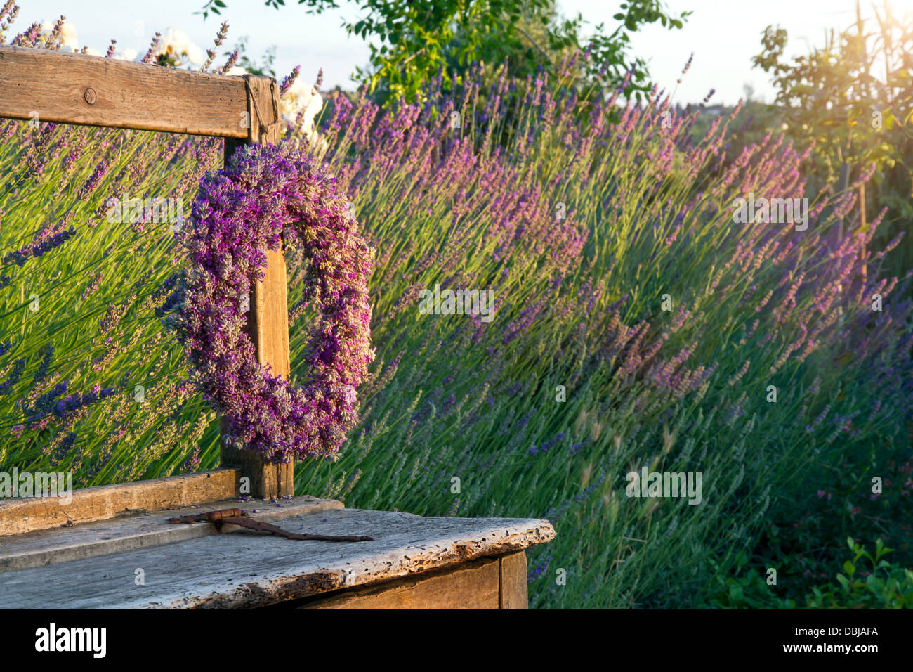 Lavanda ghirlanda di fiori su un di legno vecchio banco in un giardino estivo Foto Stock