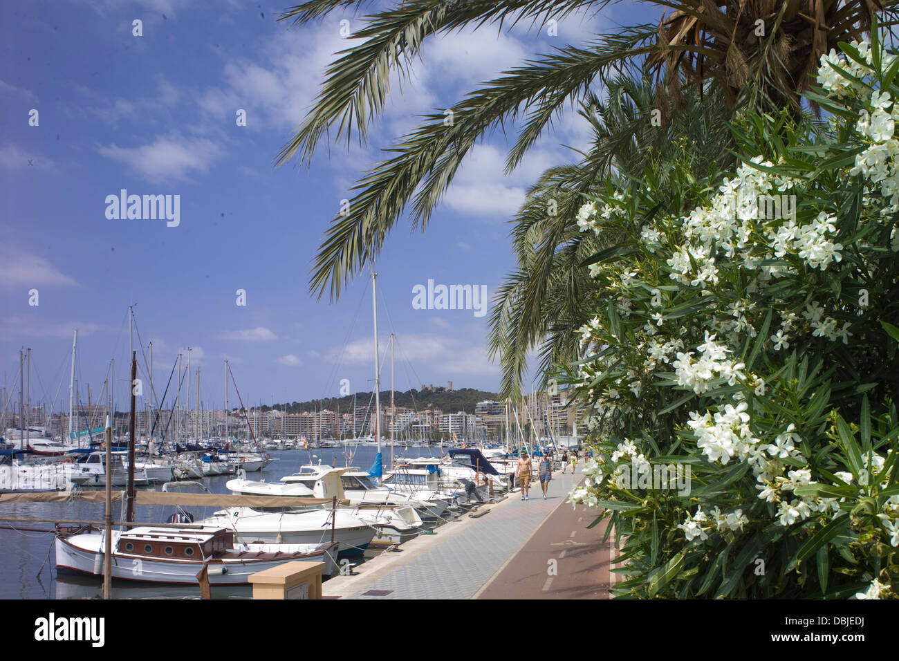 Il Waterside percorso per passeggiate a piedi e in bicicletta, a fianco le barche nel porto di Palma de Mallorca Foto Stock