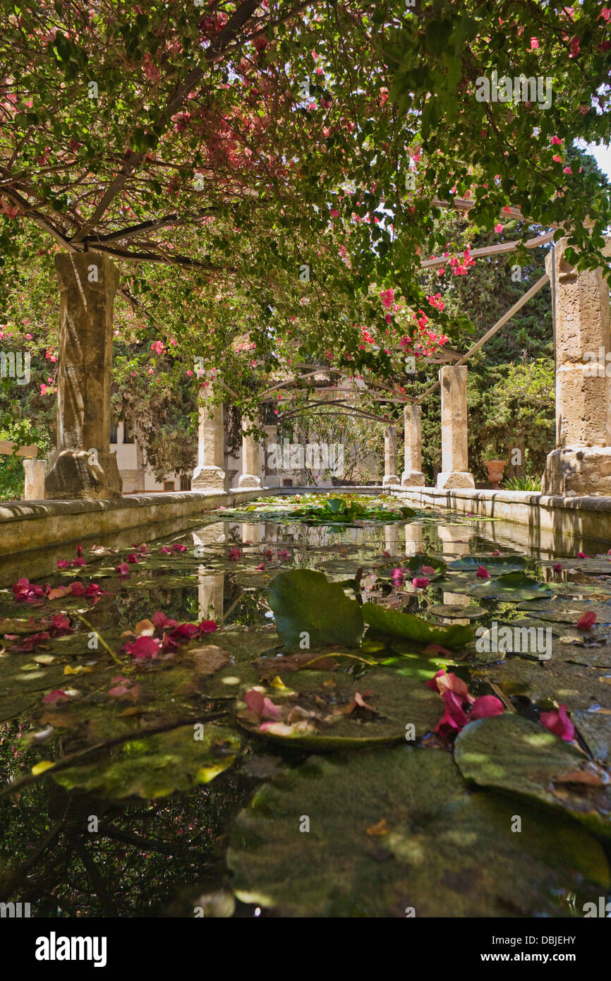 Piscina tranquilla in quella del Vescovo di giardini in Palma de Mallorca, Spagna Foto Stock