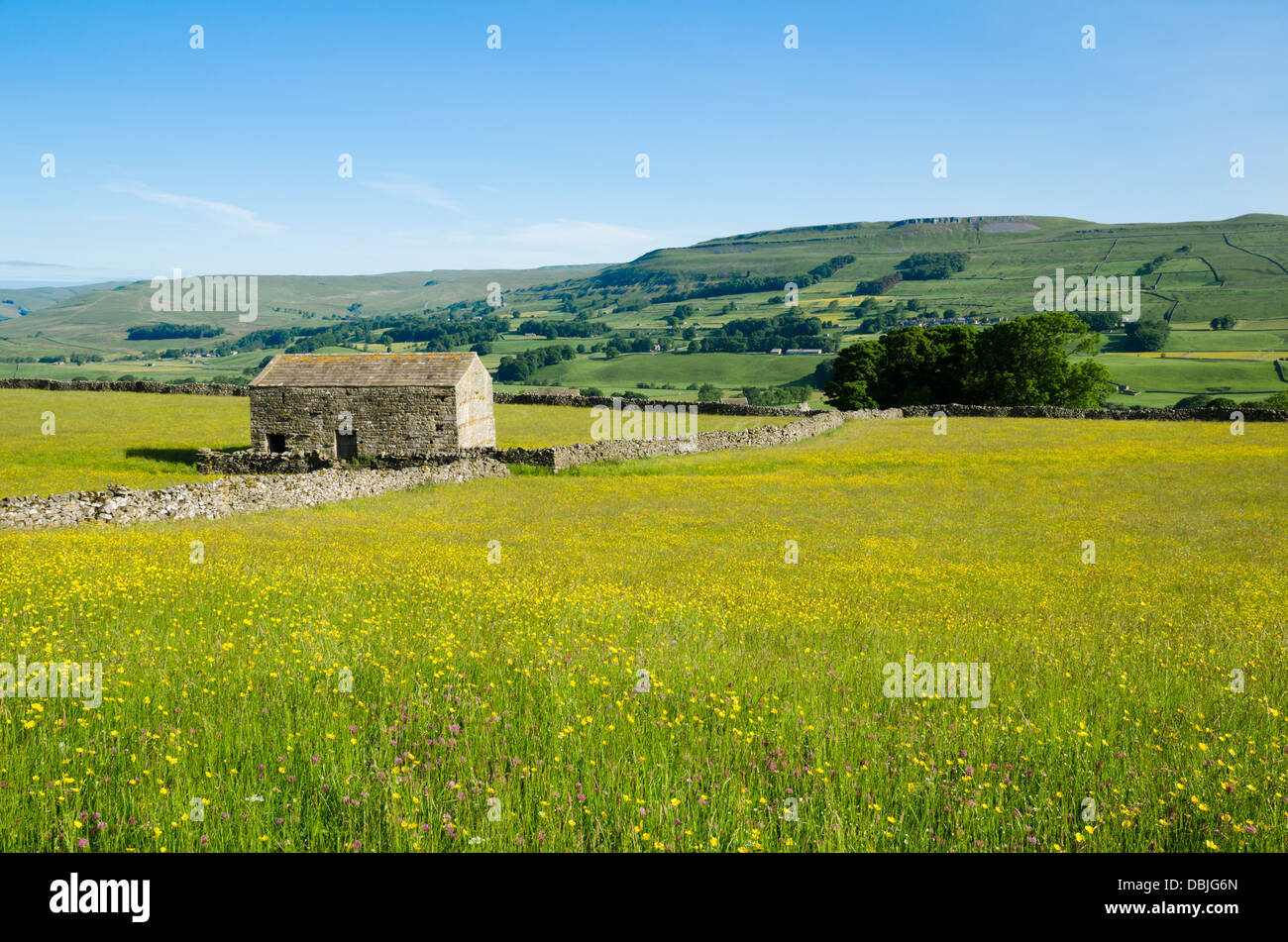 Una vista di Wensleydale con Penhill nella distanza Foto Stock