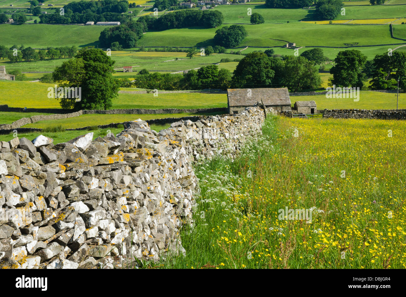 Vista di Wensleydale durante l'estate Foto Stock