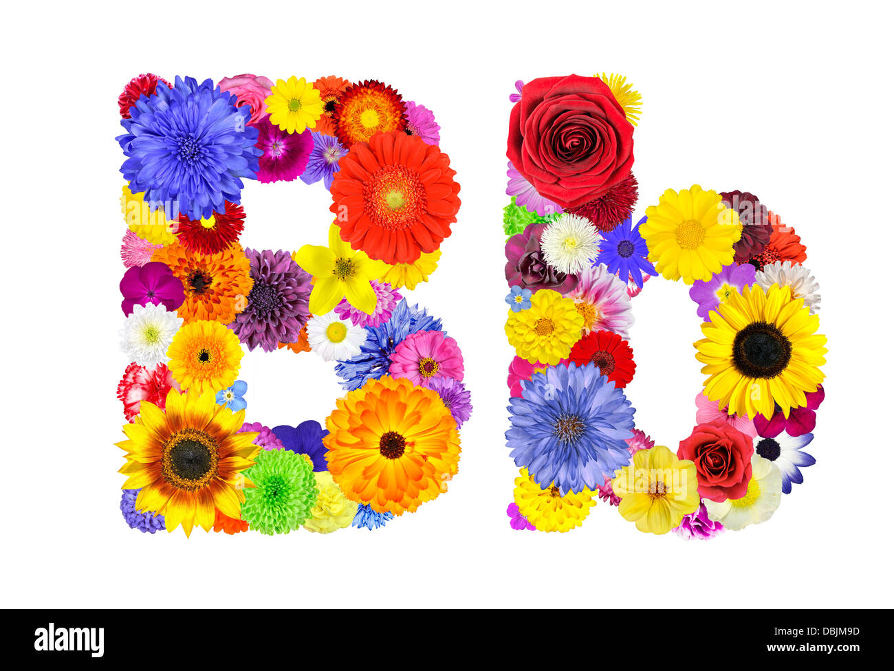 Lettera B di alfabeto fiori isolati su bianco. Lettera sono costituiti da  molte colorate e fiori originale Foto stock - Alamy