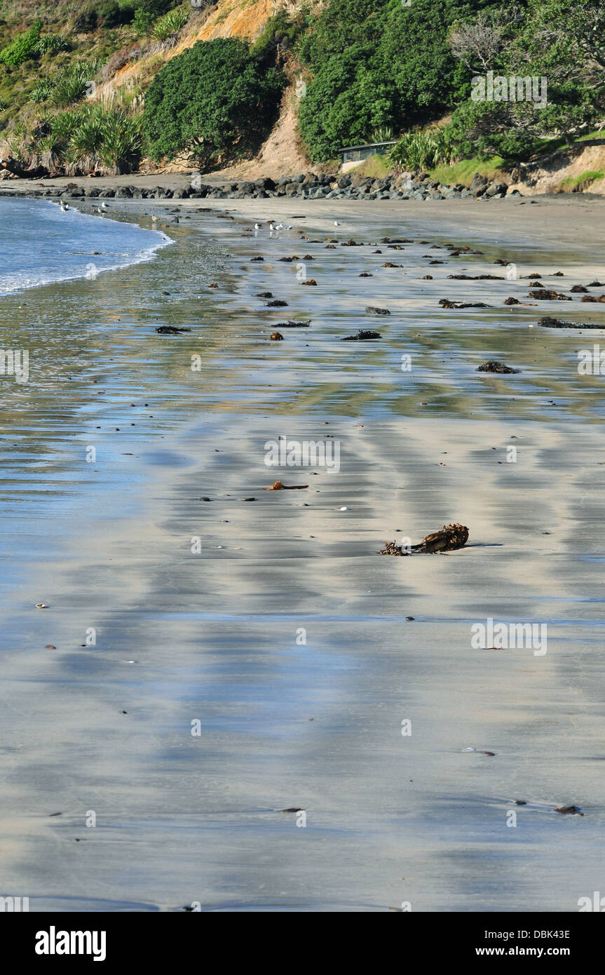 Sabbie colorate sulla spiaggia con la bassa marea, Esercito Bay, Whangaparaoa Peninsula Foto Stock