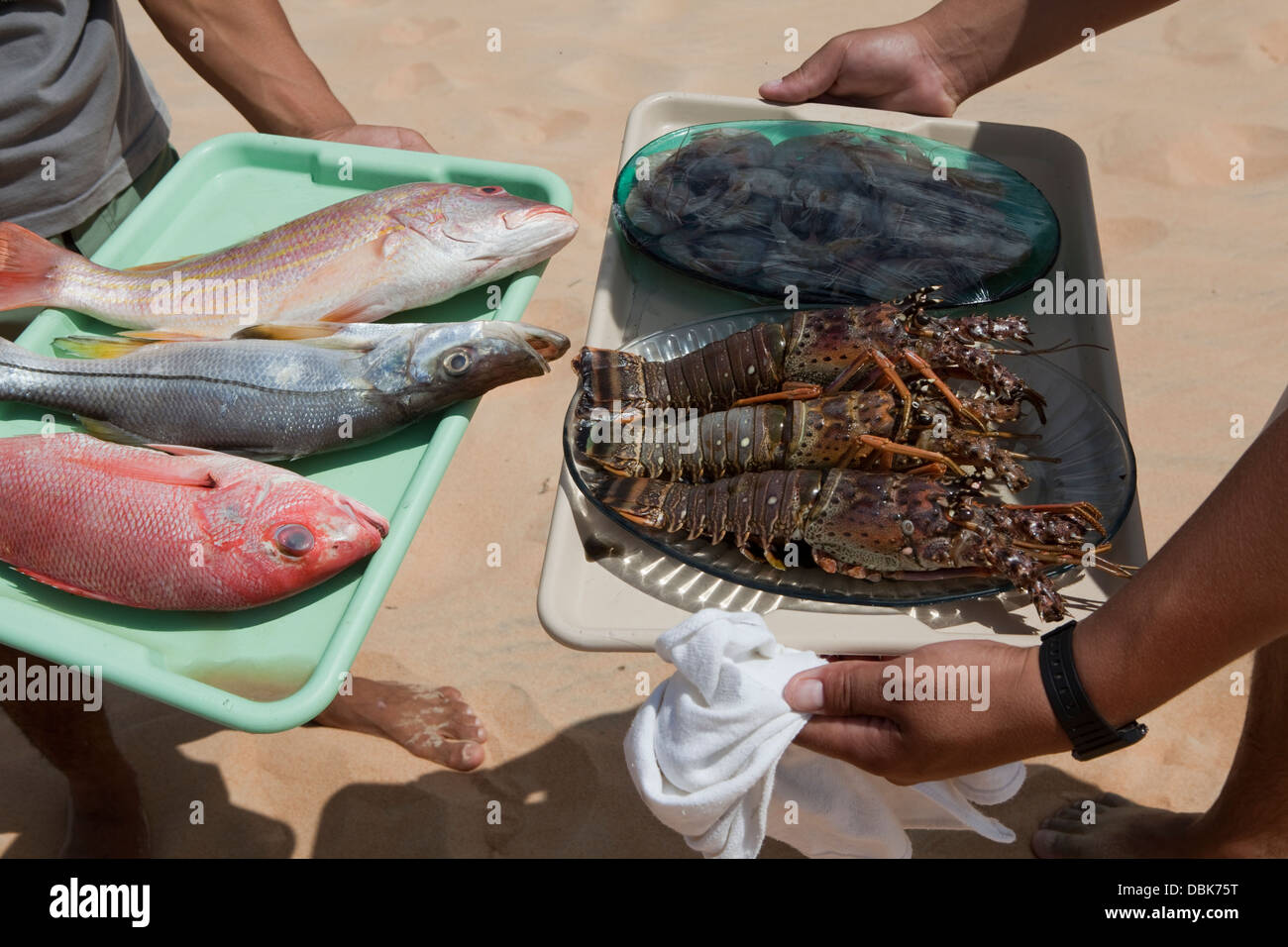 Frutti di mare appena pescati in un lago vicino Jericoacoara, Brasile. Foto Stock