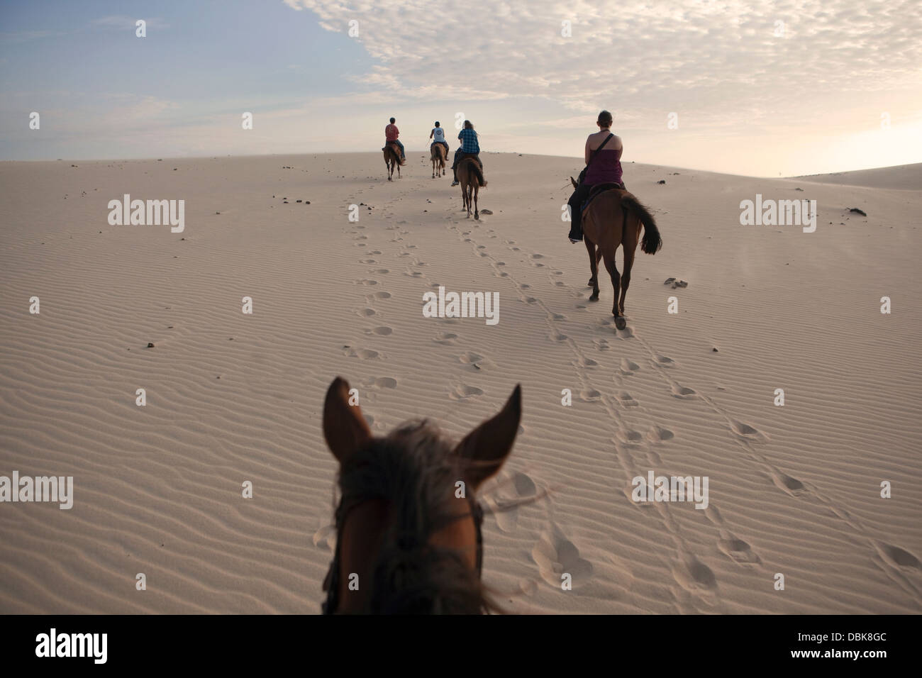Passeggiate a cavallo sulle dune al tramonto a Jericoacoara, Brasile. Foto Stock