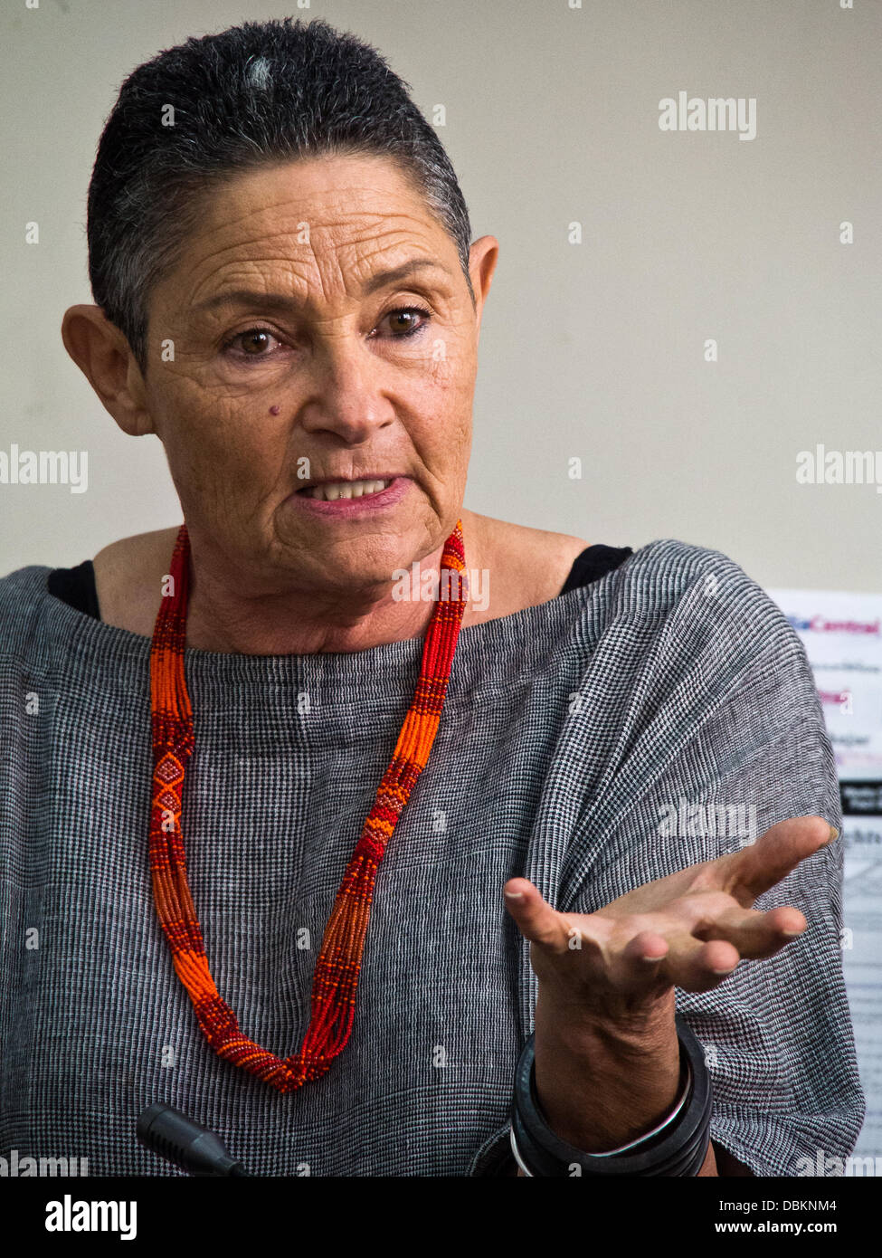 Gerusalemme, Israele. Il 1 agosto, 2013. ROBI DAMELIN, una nato in Sud Africa, attivista israeliana, madre di David, ucciso da un cecchino palestinese nel 2002 mentre si serve in IDF, sostiene per la riconciliazione; 'David è stato ucciso come simbolo di un esercito di occupazione. Non voglio vendetta." a Gerusalemme, Israele. 1-Agosto-2013. Robi Damelin, dei genitori di famiglie di cerchio forum, dibattiti con il tenente-colonnello (Ret.) Meir Indor, di Almagor, terrore associazione vittime, il governo israeliano la decisione di rilasciare 104 prigionieri palestinesi per la ripresa dei negoziati con i palestinesi. Credito: Nir Alon/Alamy Live News Foto Stock