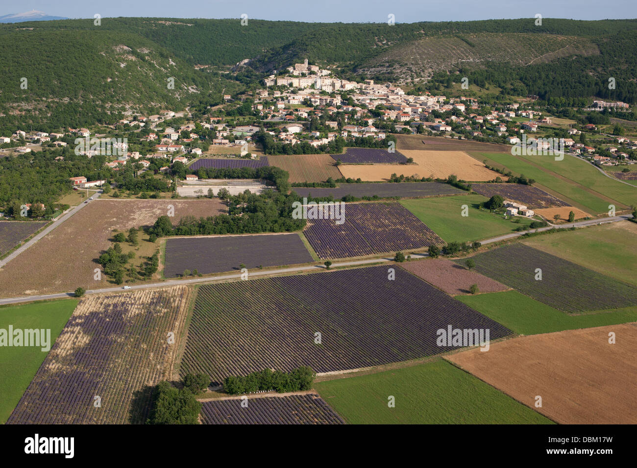 VISTA AEREA. Villaggio collinare provenzale che domina campi di lavanda in fiore. Banon, Alpi dell'alta Provenza, Provenza, Francia. Foto Stock