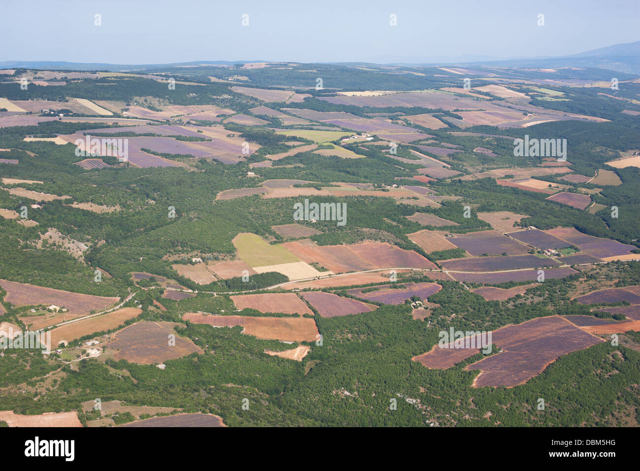 VISTA AEREA. Altopiano con un mosaico di campi di lavanda in fiore e boschetti. Vicino a Simiane-la-Rotonde, Provenza, Francia. Foto Stock