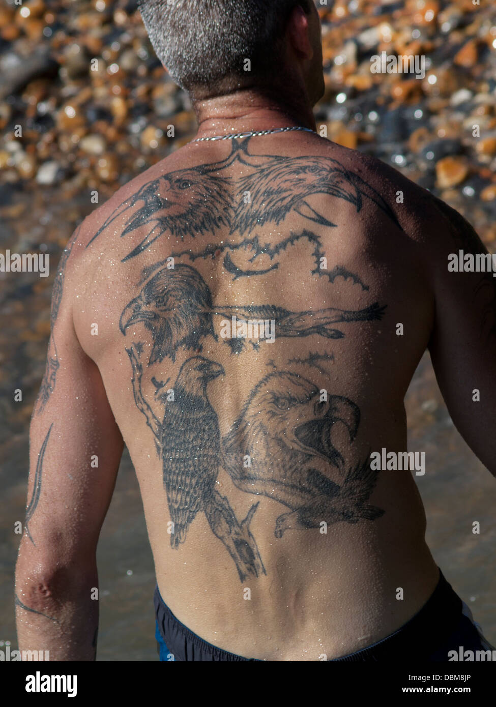 Tatuaggi di aquile su un uomo con la schiena Foto stock - Alamy