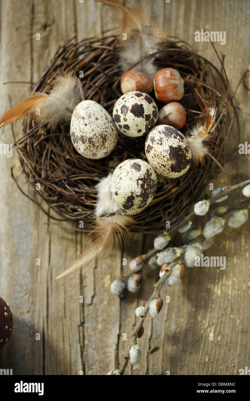 Uova di quaglia con cesto di Pasqua, osijek, Croazia, Europa Foto Stock