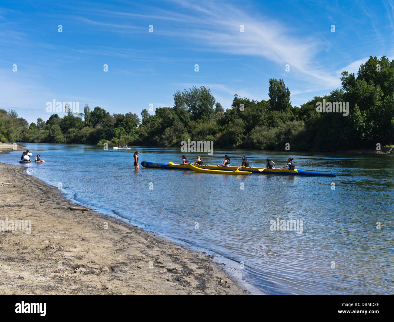 Dh Fiume Waikato NGARUAWAHIA NUOVA ZELANDA Maori ragazze paddling waka racing canoe nativo Maori zealanders canoa Foto Stock