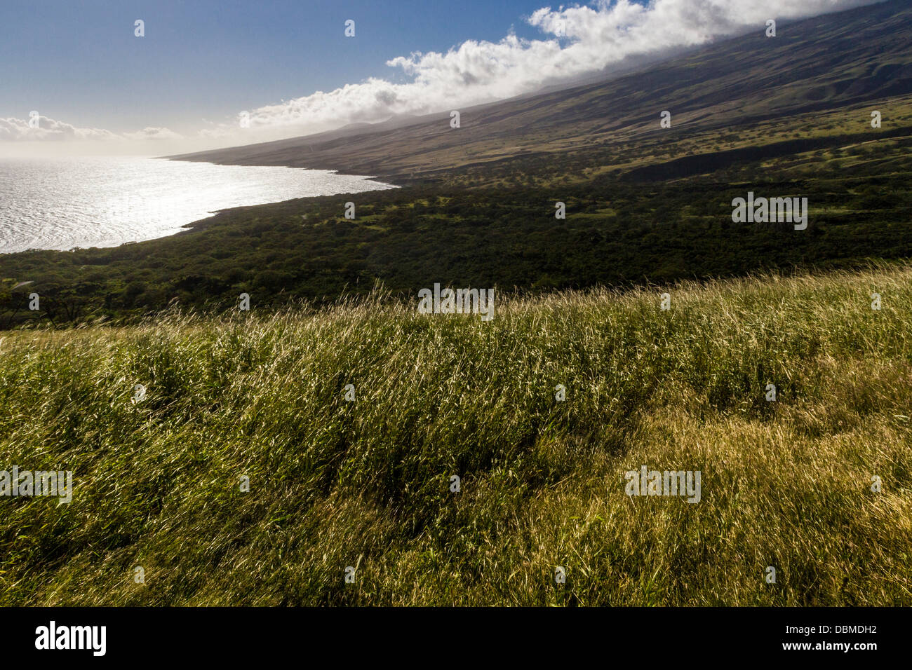 Vista dal pi'ilani autostrada, un robusto e soprattutto strada sterrata lungo la costa sud-occidentale di Maui nelle Hawaii. Foto Stock