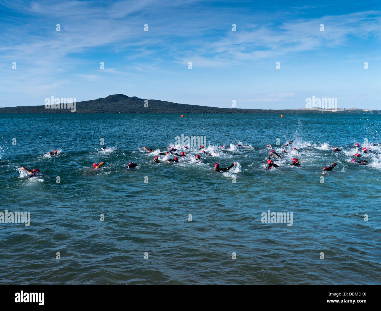 dh Mission Bay AUCKLAND NEW ZEALAND Womens Swimmers Stroke e. Stride gara di nuoto Waitemata Harbour donne triathlon nuoto in acqua aperta nuota Foto Stock