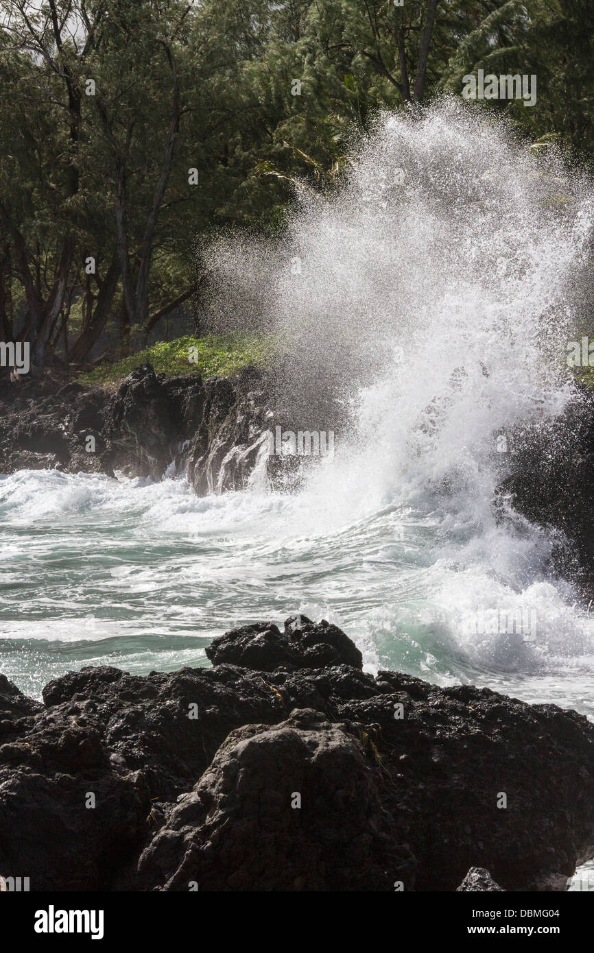 La spiaggia e l'oceano onde a Penisola Keanae, a Maui nelle Hawaii. Foto Stock