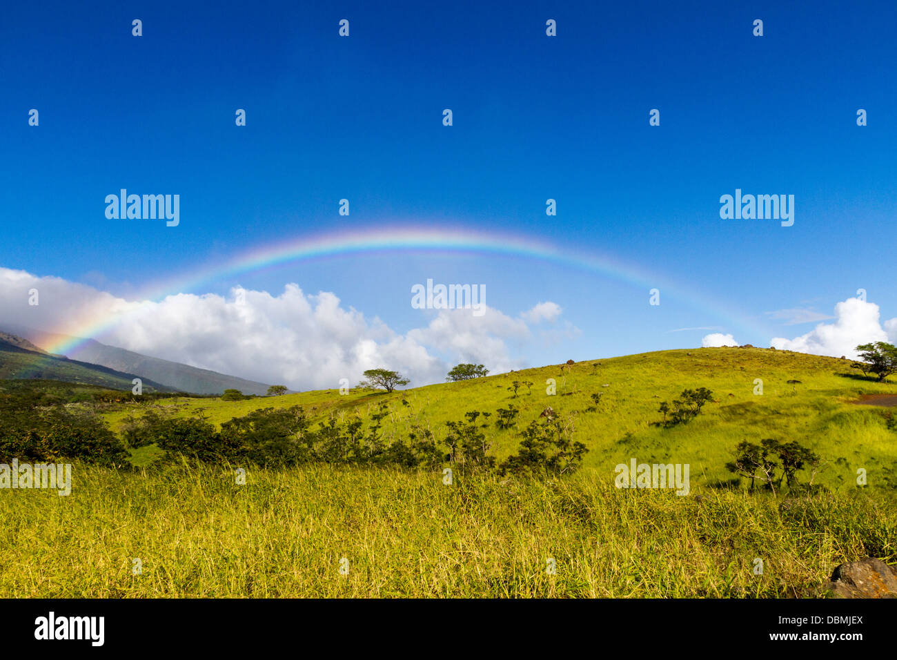 Rainbow dall'autostrada Piilani sull'isola di Maui nelle Hawaii. Foto Stock