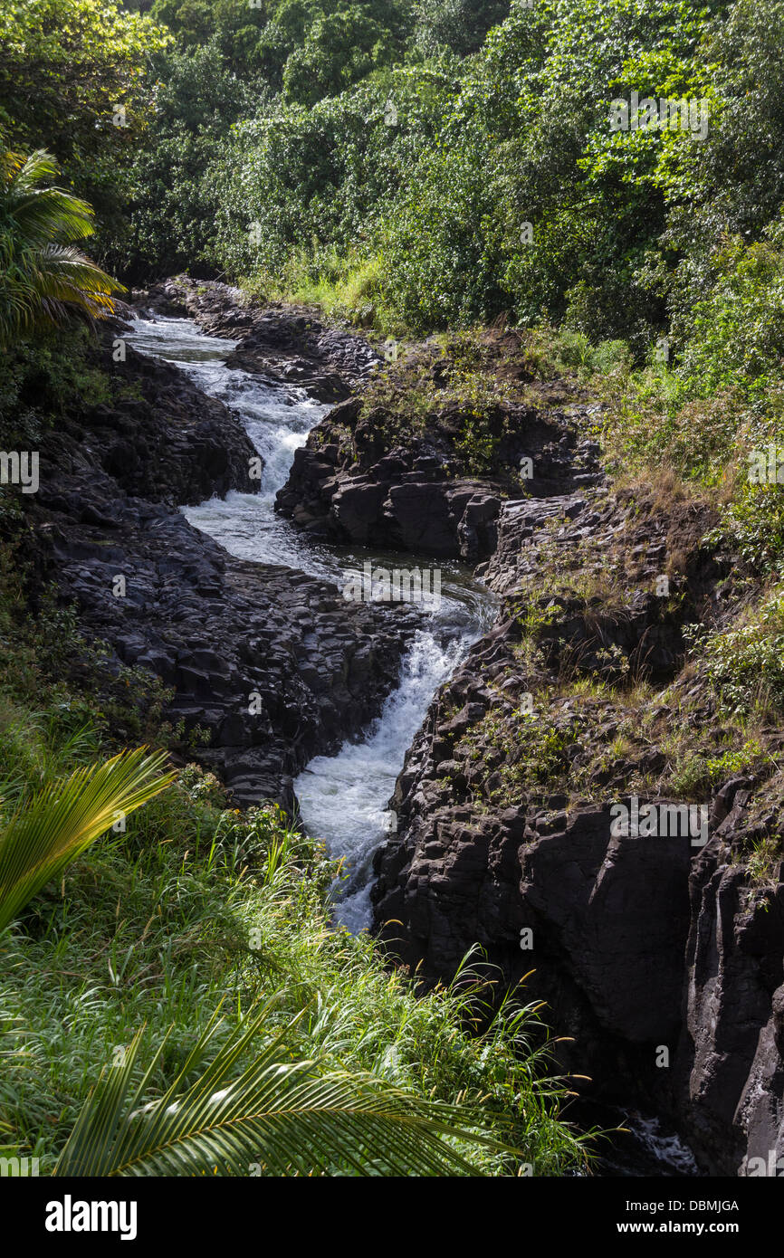 "Anche piscine sacro' o ohe"o Gulch sulla "strada Hana e' sull'isola di Maui nelle Hawaii. Foto Stock
