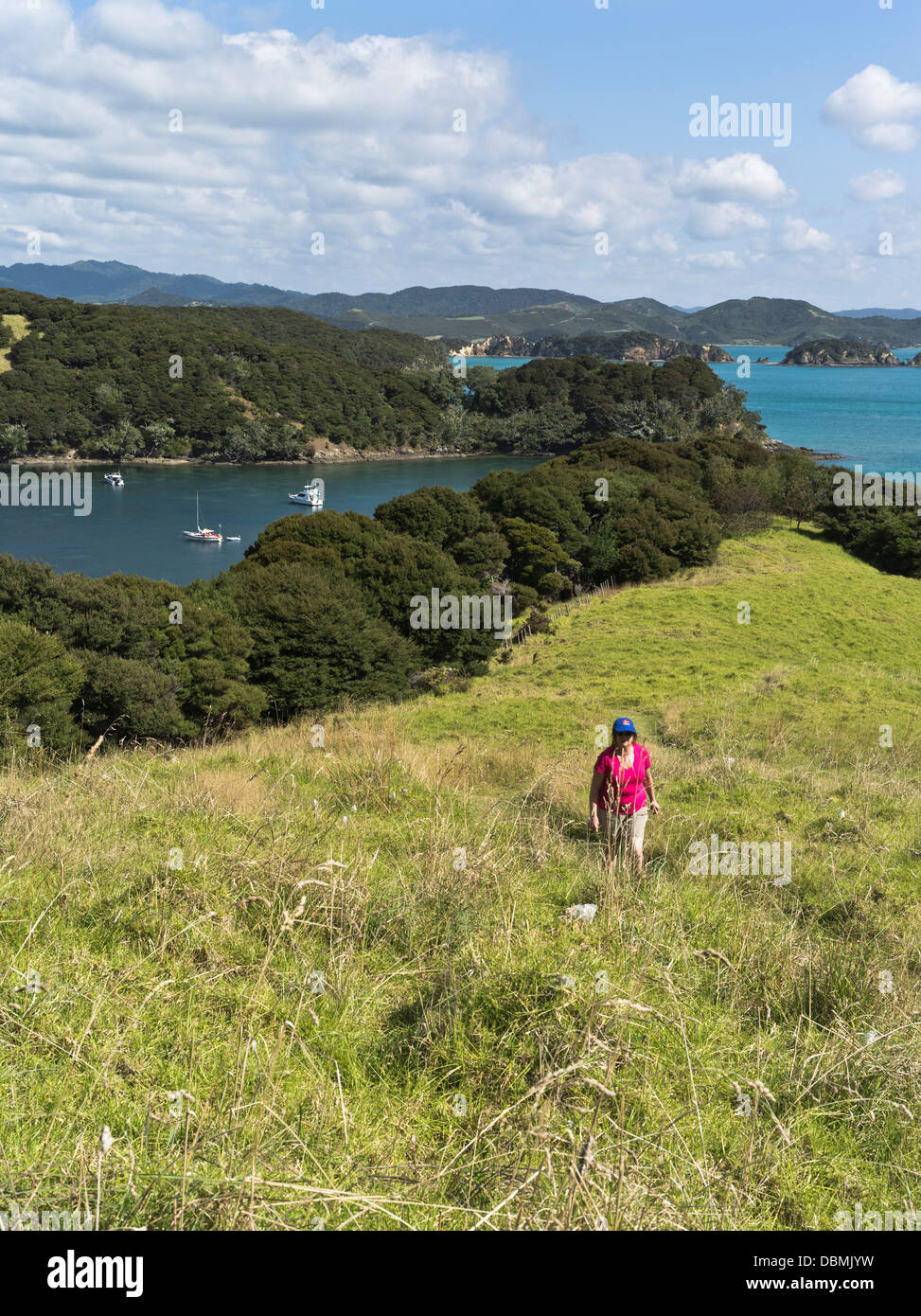 dh Urupukapuka Isola BAIA delle Isole NUOVA ZELANDA Donna turistico a piedi sentiero esplorando isola vacanza da soli persone Foto Stock